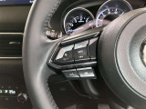 ステアリング右側のスイッチになります。全車追従機能付きクルーズコントロールが付いているので長距離運転も快適に運転できます。