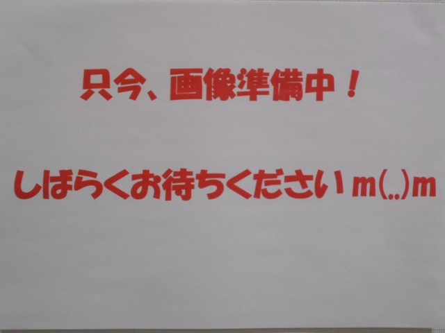 キックス 1.2 AUTECH (e-POWER) 