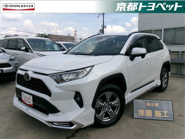 RAV4 2.0 X 