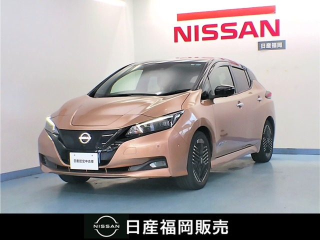 リーフ G