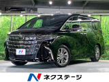 ガラスルーフ 純正14型ナビ 両側電動ドア 後席モニター 全周囲カメラ