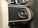 設定した車速の範囲内で先行車との距離をキープします!長距離のドライブでも快適に運転できます!