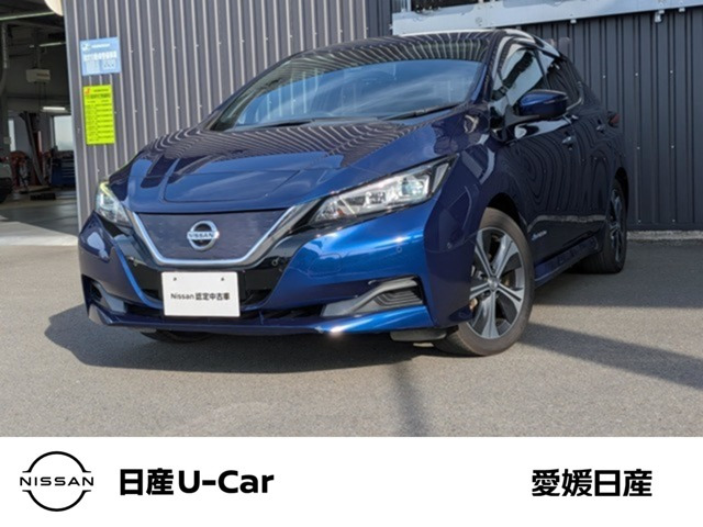 リーフ X