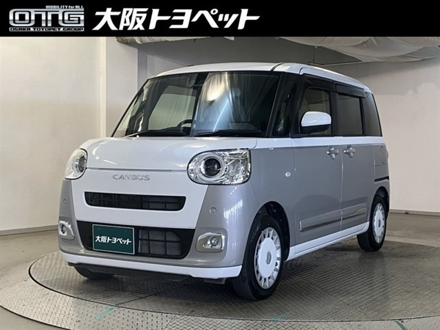ムーヴキャンバス  ストライプス G