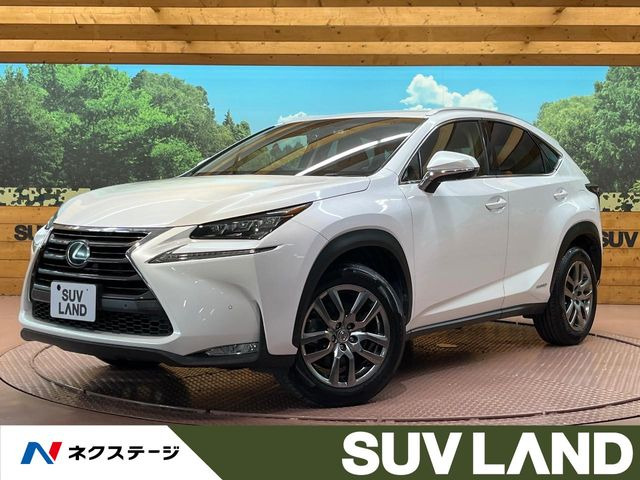 NX 300h Iパッケージ 