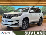 モデリスタエアロ サンルーフ BIG-X11型ナビ バックカメラ