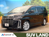 禁煙車 両側電動ドア 純正SDナビ バックカメラ 100V電源