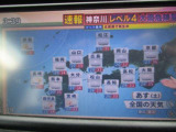 ワンセグTV