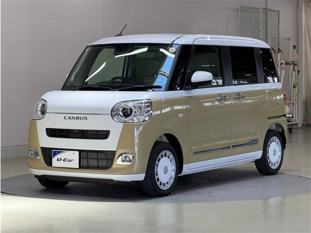 ムーヴキャンバス  ストライプス G