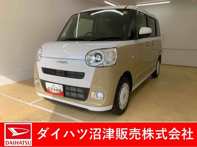 ムーヴキャンバス  ストライプス G