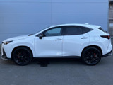 NX 350h Fスポーツ 