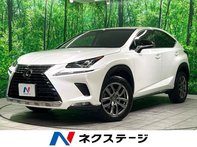NX 300 バージョンL 