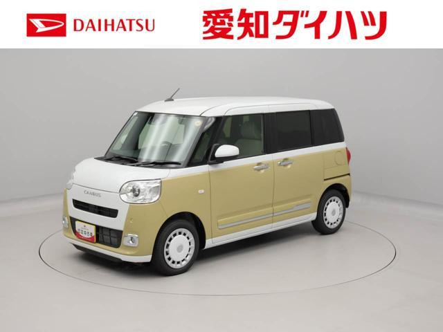 ムーヴキャンバス ストライプス G