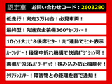 エルグランド 2.5 250ハイウェイスターS 10インチ大ナビ 低走行