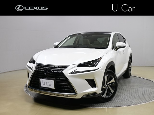 NX 300h バージョンL 