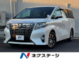 両側電動ドア SDナビ バックカメラ 寒冷地仕様 衝突被害軽減システム