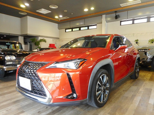 UX 200 バージョンC