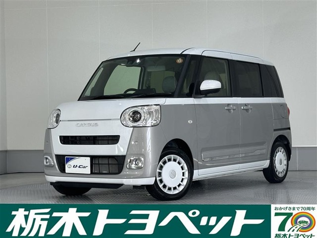 ムーヴキャンバス  ストライプス G