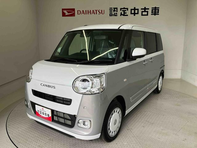 ムーヴキャンバス  ストライプス G