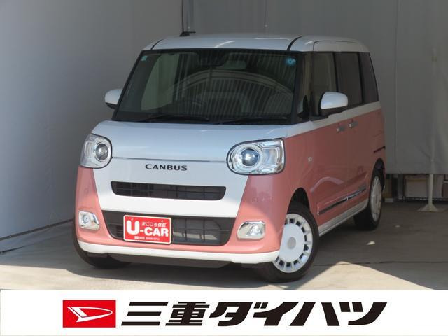 ムーヴキャンバス  ストライプス G