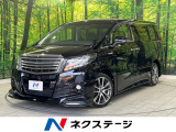 両側電動スライド 後席モニター バックカメラ 100V電源