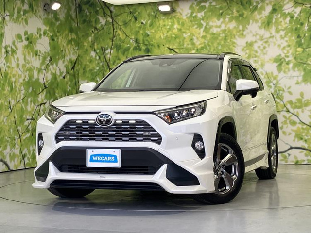 RAV4 2.0 G 4WD