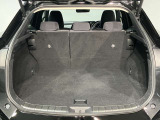 レクサス車らしい細部までこだわった高級感と見る人を一目で虜にするエモーショナルな魅力を持ち合わせております。