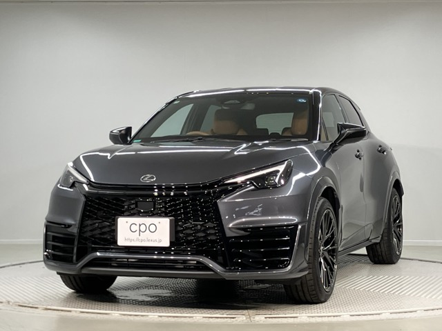 LBX モリゾウ RR ビスポーク ビルド 4WD