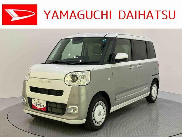 ムーヴキャンバス  ストライプス G