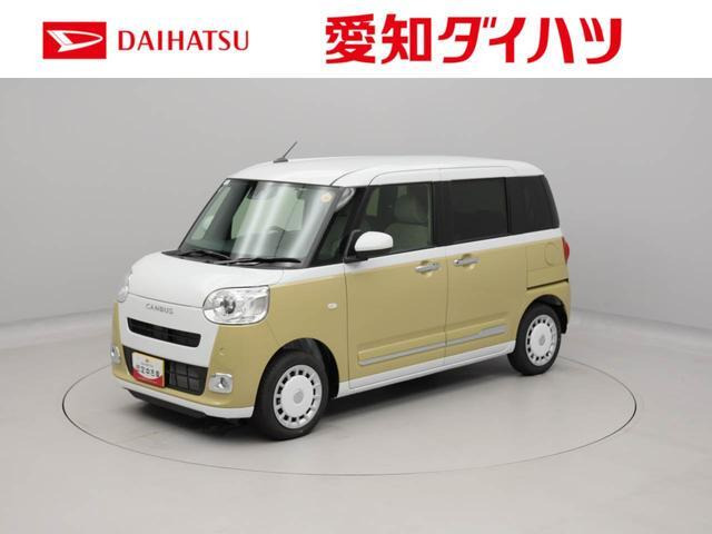 ムーヴキャンバス  ストライプス G