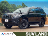 ンルーフ 寒冷地仕様 7人乗り BIGX9型ナビ バックカメラ ETC
