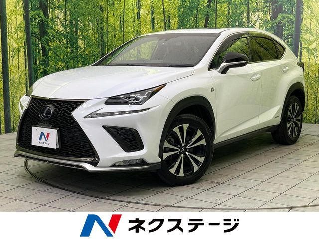NX 300h Fスポーツ 