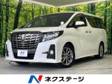両側電動ドア BIG-X11型ナビ フロント・バックカメラ 禁煙車