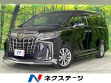 後期型 モデリスタ 純正9型DA 両側パワスラ バックカメラ 寒冷地仕様