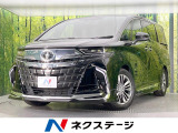 モデリスタ ガラスルーフ 両側電動ドア 後席モニター 純正14型ナビ
