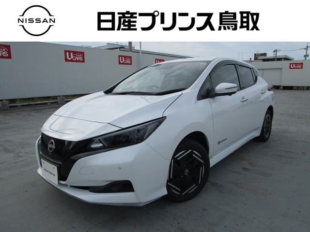リーフ e+ X 