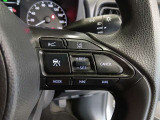 ステアリング右側には、運転支援機能を手元で操作できるスイッチ類を配置しています