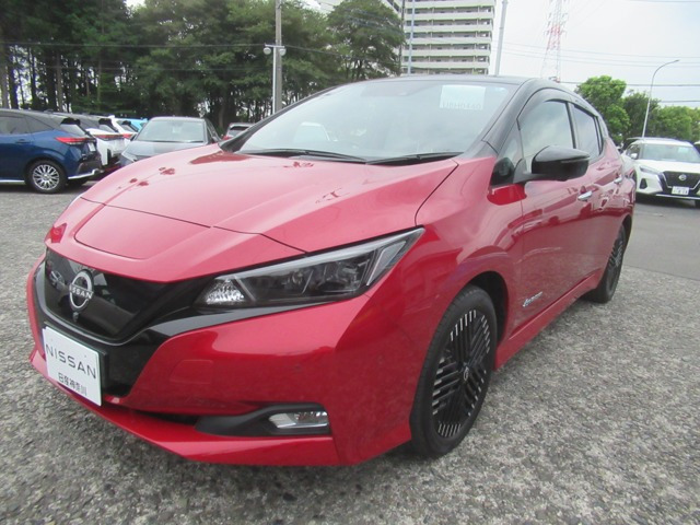 リーフ G