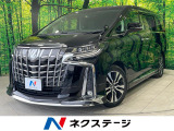 BIG-X11型ナビ 両側電動ドア 後席モニター バックカメラ 禁煙車