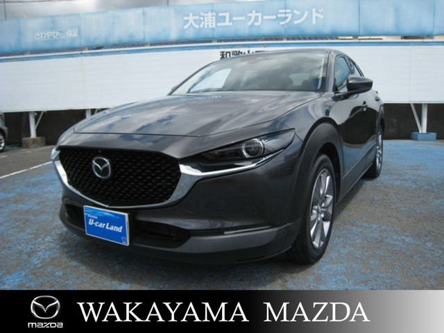 CX-30 2.0 20S Lパッケージ