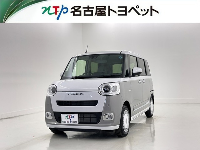ムーヴキャンバス  ストライプス G