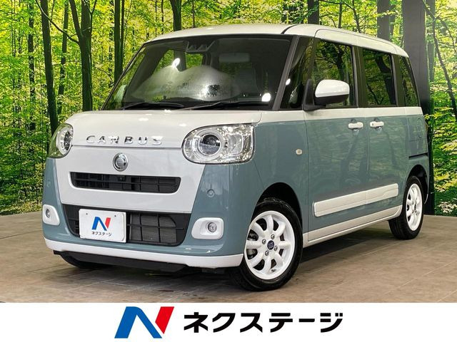 ムーヴキャンバス ストライプス G