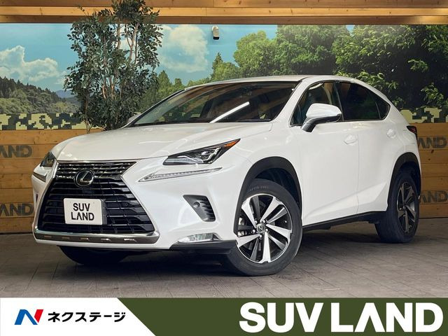 NX 200t Iパッケージ