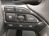 前方の車との車間を設定し、スピードを上げたり緩めたりを自動で行ってくれる追尾式の「レーダークルーズ」。上級装備の一つです!高級車にしかつかない嬉しい機能です。