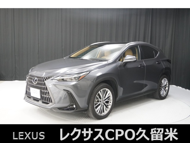 NX 250 バージョンL NX 250 バージョンL