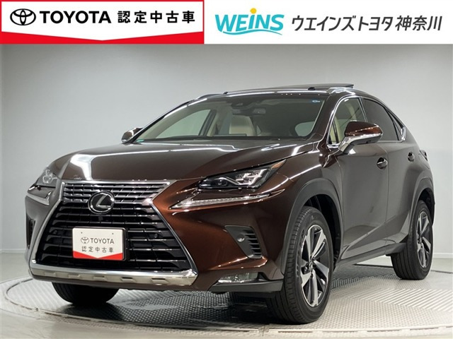 NX 300 Iパッケージ 