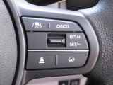 多彩な安心・快適機能を搭載した先進の安全支援システム「HondaSENSING」の操作スイッチです。