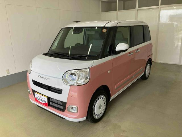ムーヴキャンバス  ストライプス G