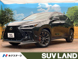 大型サンルーフ 14インチディスプレイ 全周囲カメラ