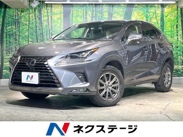 NX 200t Iパッケージ